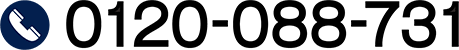 0120088731