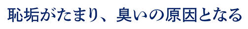 恥垢がたまり、臭いの原因となる