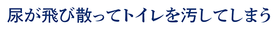 尿が飛び散ってトイレを汚してしまう