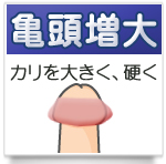 亀頭増大キャッチ