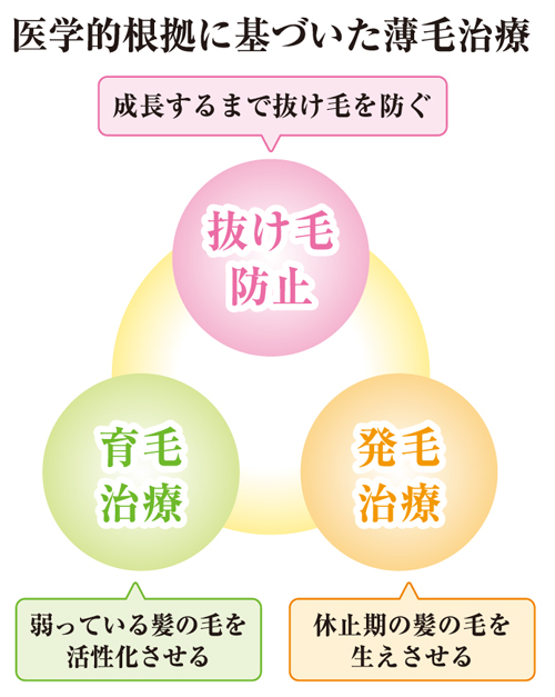 医学根拠に基づいた毛髪再生